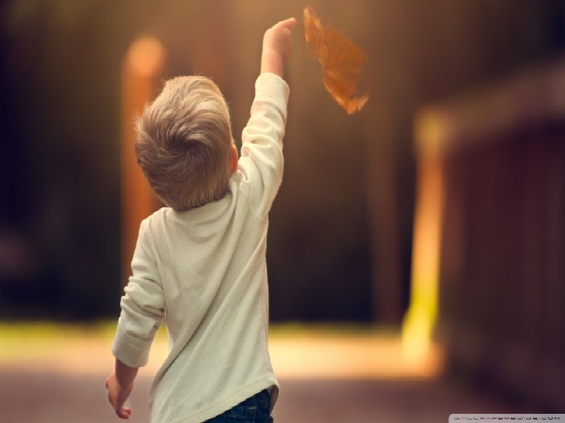 深圳试管移植囊胚17（试管成胚率）