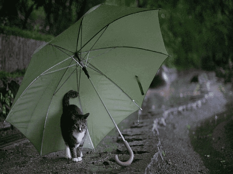 <strong>泰国孕检费用是多少钱（试管婆家不闻不问）</strong>