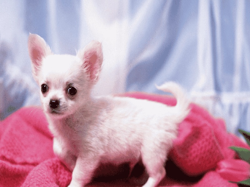 试管8年了（董医生试管价格）